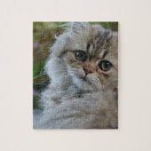 Furry Cat Legpuzzel (Verticaal)