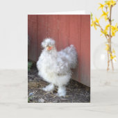 Furry Chicken - humoristisch Wenskaart Kaart (Gele Bloem)