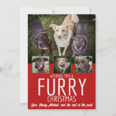 Furry Christmas Multi Foto Hond Collage Kerstmis Feestdagenkaart (Voorkant)