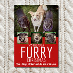 Furry Christmas Multi Foto Hond Collage Kerstmis Feestdagenkaart<br><div class="desc">Leg de essentie van een perfecte vakantie vast met onze "Furry Christmas" Hondenfotokaart. Met deze aanpasbare kaart kunt u niet één, niet twee, maar vier schattige afbeeldingen van uw feestelijke bontbaby's laten zien! Verspreid de vreugde van het seizoen door uw groeten te personaliseren en de liefde van uw hoektanden te...</div>