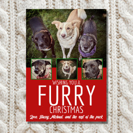 Furry Christmas Multi Foto Hond Collage Kerstmis Feestdagenkaart