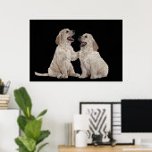 Furry Companions 36 x 24 Poster (Thuiskantoor)