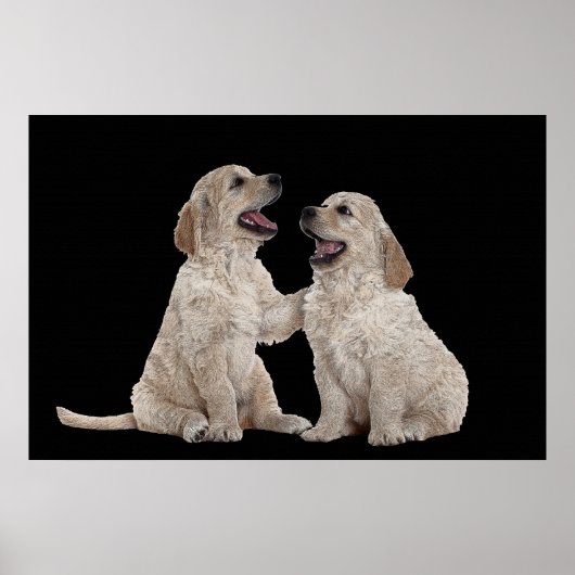 Furry Companions 36 x 24 Poster (Voorkant)