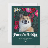 Furry En Bright Dog Foto Grappige Kerstmis Feestdagenkaart (Voorkant)