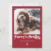 Furry En Bright Dog Foto Grappige Kerstmis Feestdagenkaart (Voorkant)
