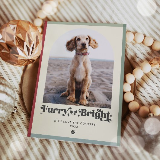 Furry En Bright Dog Foto Grappige Kerstmis Feestdagenkaart