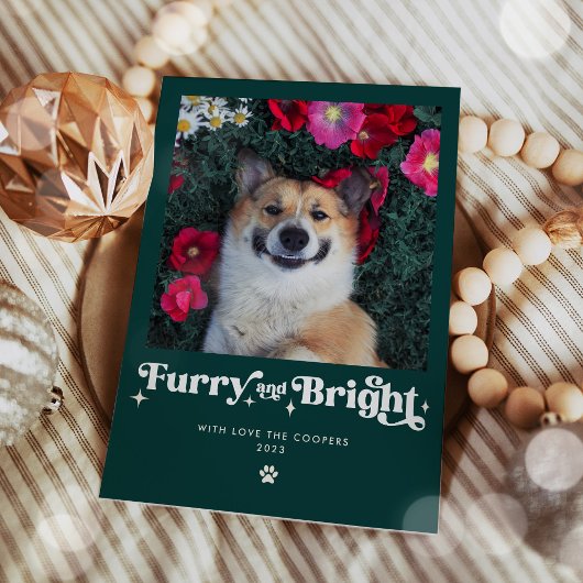Furry En Bright Dog Foto Grappige Kerstmis Feestdagenkaart