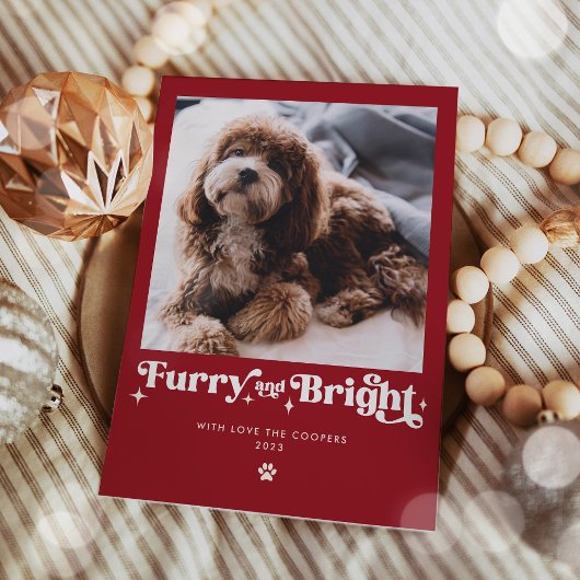 Furry En Bright Dog Foto Grappige Kerstmis Feestdagenkaart