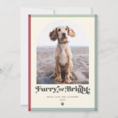 Furry En Bright Dog Foto Grappige Kerstmis Feestdagenkaart (Voorkant)