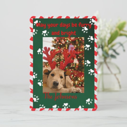 Furry en Bright Dog Foto Kerst Kaart (Staand voorkant)