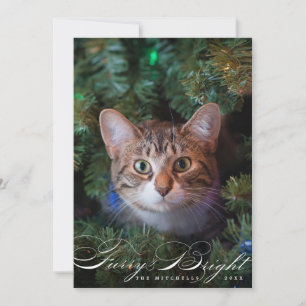 Furry en Bright Elegant Pet Cat-fotokaart Feestdagenkaart