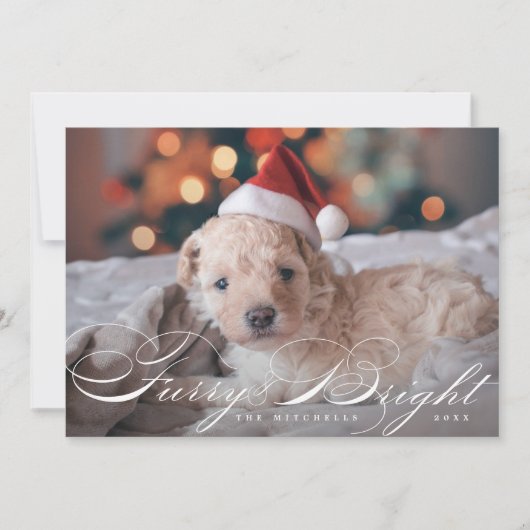 Furry en Bright Elegant Pet Dog-fotokaart Feestdagenkaart (Voorkant)