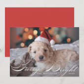 Furry en Bright Elegant Pet Dog-fotokaart Feestdagenkaart (Voorkant / Achterkant)