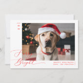 Furry en Bright Grappige Hond Foto Kerstmis Feestdagenkaart (Voorkant)