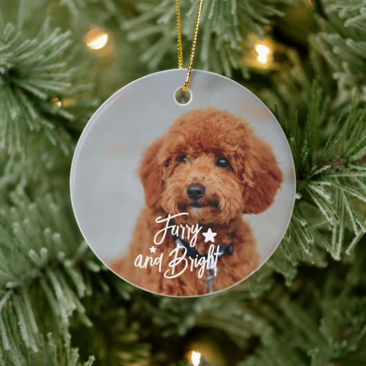 Furry en Bright Hond of Kat Foto Gepersonaliseerd Keramisch Ornament (Boom)