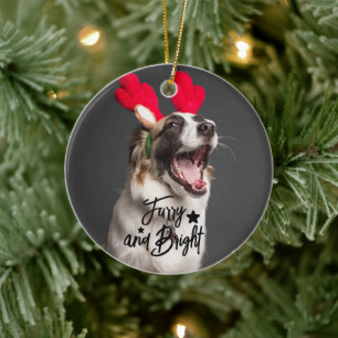 Furry en Bright Hond of Kat Foto Gepersonaliseerd Keramisch Ornament