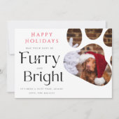 Furry en Bright Pet 3 Foto Funny-feestkaart Kaart (Voorkant)