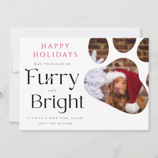 Furry en Bright Pet 3 Foto Funny-feestkaart Kaart (Voorkant)