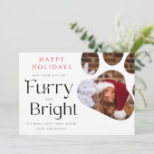 Furry en Bright Pet 3 Foto Funny-feestkaart Kaart (Staand voorkant)