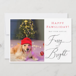 Furry en Bright Pet 3 Foto Funny-feestkaart Kaart