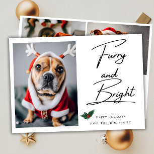 Furry en Bright Pet Dog Foto Mistletoe Kerstmis Feestdagenkaart