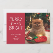 Furry en Bright Pet Foto Kerstvakantie Feestdagenkaart (Voorkant)