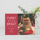 Furry en Bright Pet Foto Kerstvakantie Feestdagenkaart (Staand voorkant)