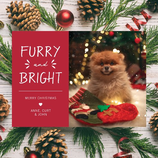 Furry en Bright Pet Foto Kerstvakantie Feestdagenkaart