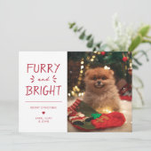 Furry en Bright Pet Foto Kerstvakantie Rood Feestdagenkaart (Staand voorkant)