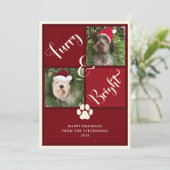 Furry en felrode foto collage hond feestdagenkaart (Staand voorkant)