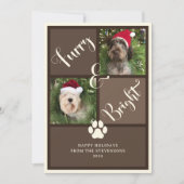Furry en helder bruine foto collage hond feestdagenkaart (Voorkant)