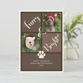 Furry en helder bruine foto collage hond feestdagenkaart (Staand voorkant)