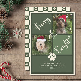 Furry en helder groene foto collage hond feestdagenkaart