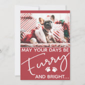Furry en heldere hond foto Kerstmis (Voorkant)