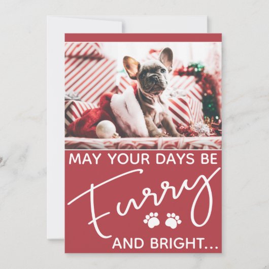 Furry en heldere hond foto Kerstmis (Voorkant)