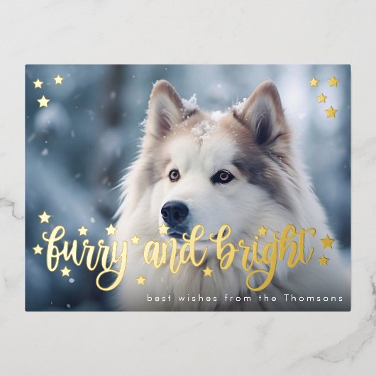 Furry en heldere kerst goud huisdier foto folie feestdagen briefkaart (Voorkant)