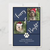 Furry en heldere marine blauwe foto collage hond feestdagenkaart (Voorkant)