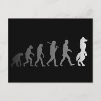 Furry-evolutie