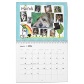 Furry Face 2014-kalender Kalender (Mar 2026)