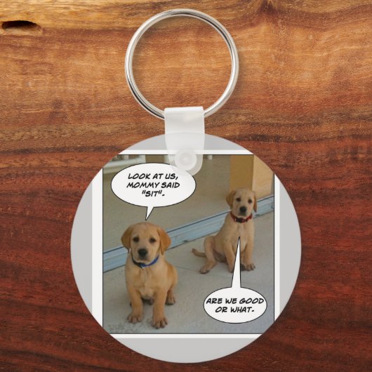 Furry Funnies "LAB PUPS?" Sleutelhanger (Voorkant)