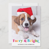 Furry & Helder Moderne Kleurrijke Huisdier Hond Fo Feestdagenkaart (Voorkant)
