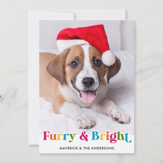 Furry & Helder Moderne Kleurrijke Huisdier Hond Fo Feestdagenkaart (Voorkant)