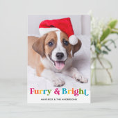 Furry & Helder Moderne Kleurrijke Huisdier Hond Fo Feestdagenkaart (Staand voorkant)
