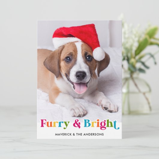 Furry & Helder Moderne Kleurrijke Huisdier Hond Fo Feestdagenkaart (Staand voorkant)