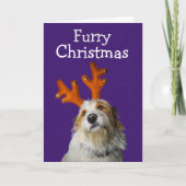 Furry Kerstmis van de hond Bedankkaart (Voorkant)