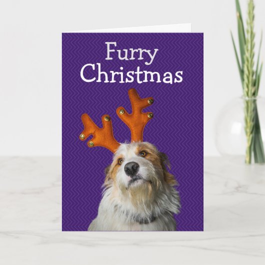 Furry Kerstmis van de hond Bedankkaart (Voorkant)