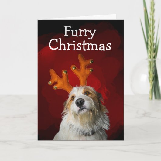Furry Kerstmis van de Kaart van de hond (Voorkant)