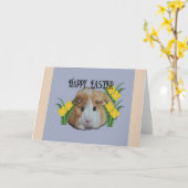 Furry Little Guinea Pig Tan Happy Easter Daffodil Kaart (Gele Bloem)