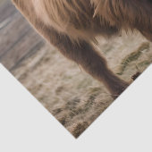 **"Furry Majesty: The Woolly Brown Highland Koe"** Tissuepapier (Detail)