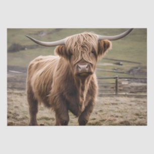 **"Furry Majesty: The Woolly Brown Highland Koe"** Tissuepapier